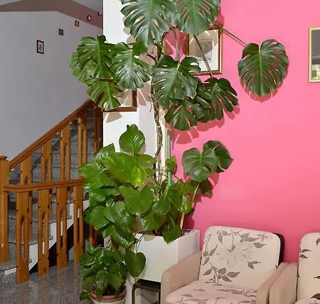 Hotel Andrea